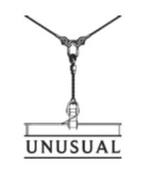 Unusual Rigging logo