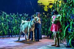 338517_My-Neighbour-Totoro-photos_-2022_2022_Web-use