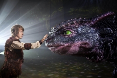 dragon06